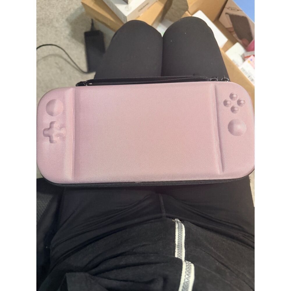 Nitendo DS case